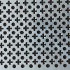 Stainless Steel Perforated Metal Sheets